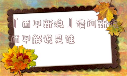 『西甲新浪』请问新浪西甲解说是谁