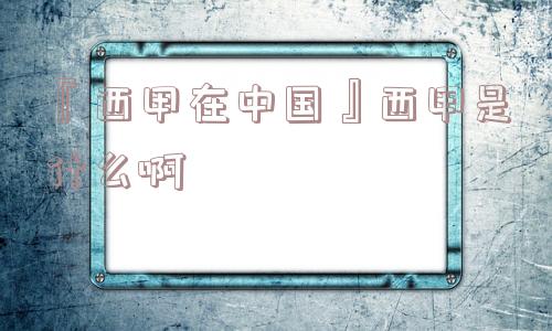 『西甲在中国』西甲是什么啊