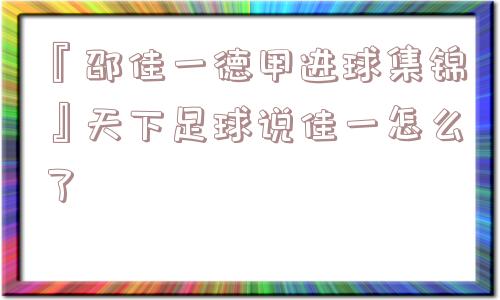 『邵佳一德甲进球集锦』天下足球说佳一怎么了