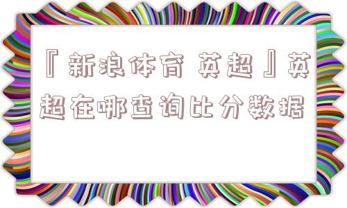 『新浪体育 英超』英超在哪查询比分数据