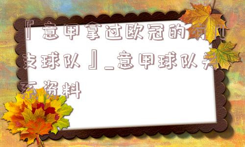 『意甲拿过欧冠的有几支球队』_意甲球队关系资料