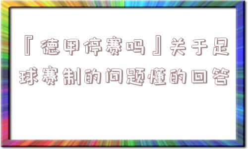 『德甲停赛吗』关于足球赛制的问题懂的回答