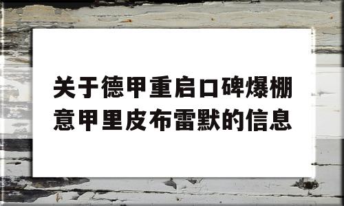 关于德甲重启口碑爆棚意甲里皮布雷默的信息