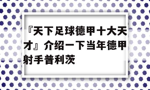 『天下足球德甲十大天才』介绍一下当年德甲射手普利茨