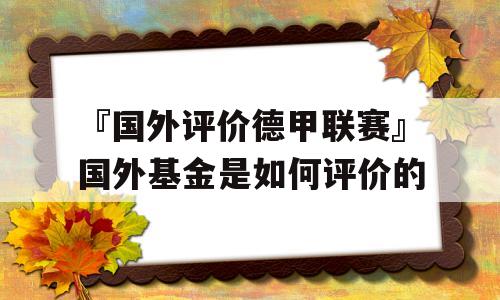 『国外评价德甲联赛』国外基金是如何评价的