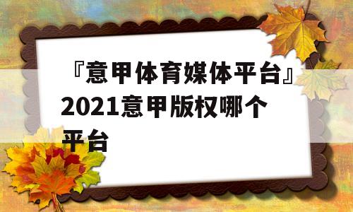 『意甲体育媒体平台』2021意甲版权哪个平台