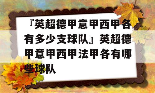 『英超德甲意甲西甲各有多少支球队』英超德甲意甲西甲法甲各有哪些球队