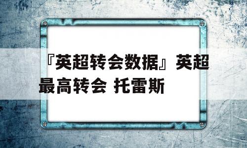 『英超转会数据』英超最高转会 托雷斯 