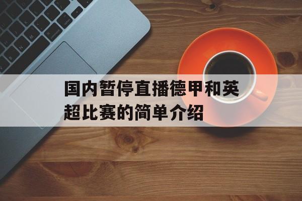 国内暂停直播德甲和英超比赛的简单介绍