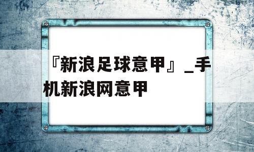 『新浪足球意甲』_手机新浪网意甲