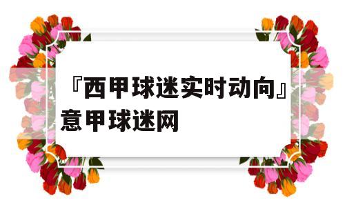 『西甲球迷实时动向』意甲球迷网