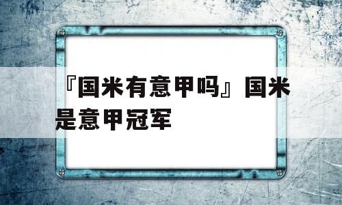 『国米有意甲吗』国米是意甲冠军