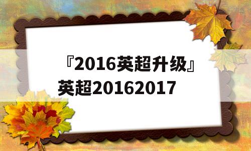 『2016英超升级』英超20162017