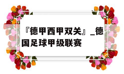 『德甲西甲双关』_德国足球甲级联赛