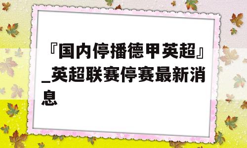 『国内停播德甲英超』_英超联赛停赛最新消息