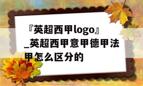 『英超西甲logo』_英超西甲意甲德甲法甲怎么区分的