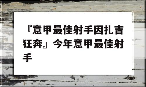 『意甲最佳射手因扎吉狂奔』今年意甲最佳射手