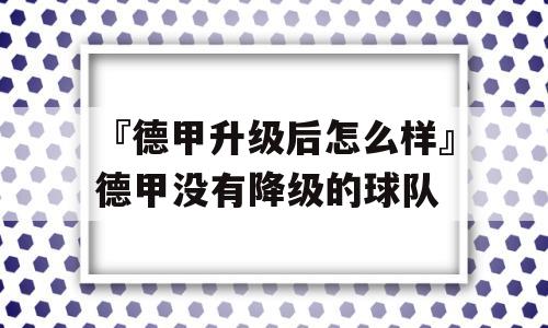 『德甲升级后怎么样』德甲没有降级的球队