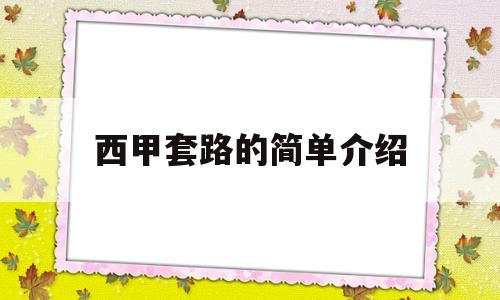 西甲套路的简单介绍