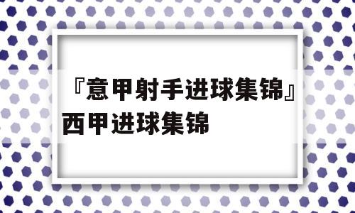 『意甲射手进球集锦』西甲进球集锦