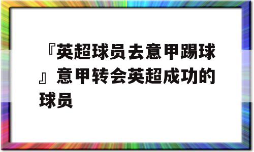 『英超球员去意甲踢球』意甲转会英超成功的球员