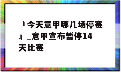 『今天意甲哪几场停赛』_意甲宣布暂停14天比赛