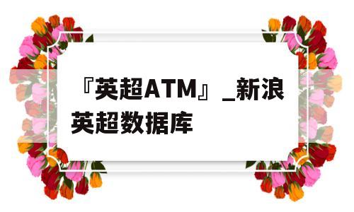 『英超ATM』_新浪英超数据库