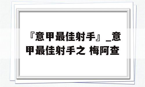 『意甲最佳射手』_意甲最佳射手之 梅阿查