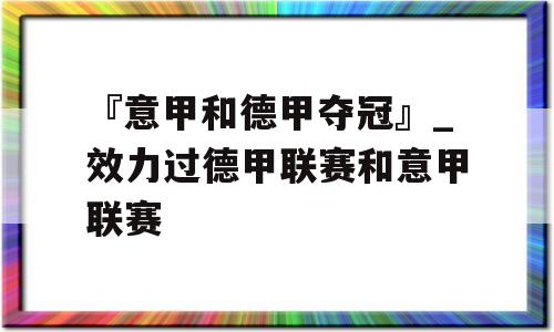 『意甲和德甲夺冠』_效力过德甲联赛和意甲联赛