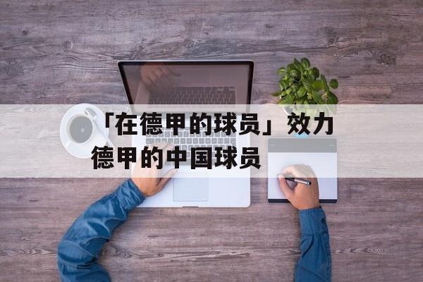 「在德甲的球员」效力德甲的中国球员