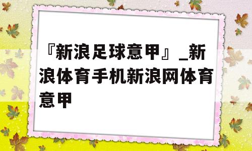 『新浪足球意甲』_新浪体育手机新浪网体育意甲