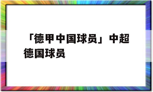 「德甲中国球员」中超德国球员