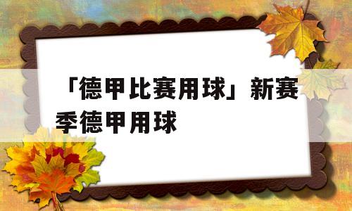 「德甲比赛用球」新赛季德甲用球