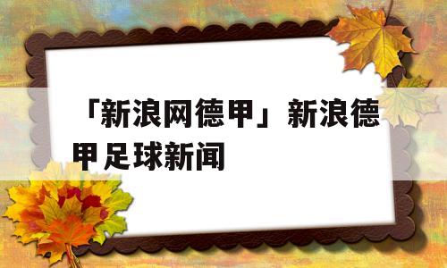 「新浪网德甲」新浪德甲足球新闻