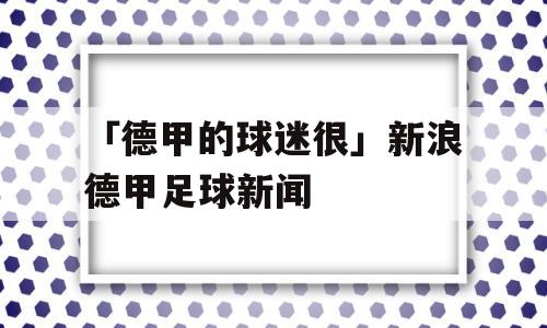 「德甲的球迷很」新浪德甲足球新闻