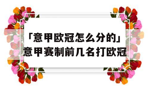 「意甲欧冠怎么分的」意甲赛制前几名打欧冠