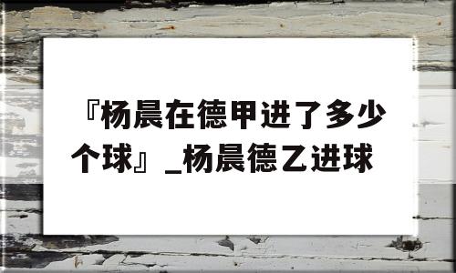 『杨晨在德甲进了多少个球』_杨晨德乙进球