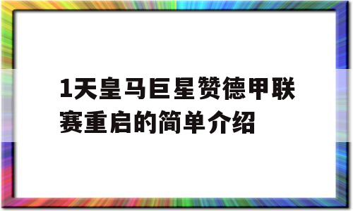 1天皇马巨星赞德甲联赛重启的简单介绍