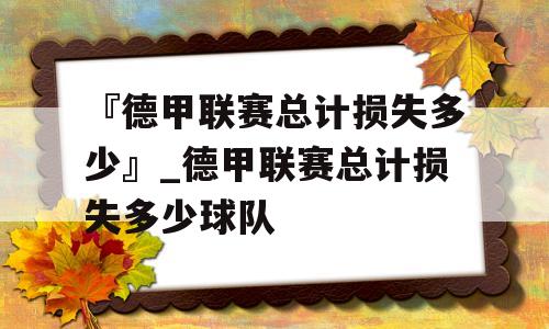 『德甲联赛总计损失多少』_德甲联赛总计损失多少球队