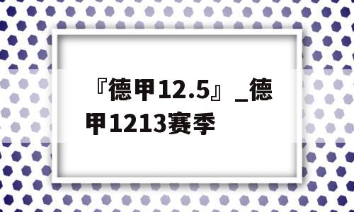 『德甲12.5』_德甲1213赛季