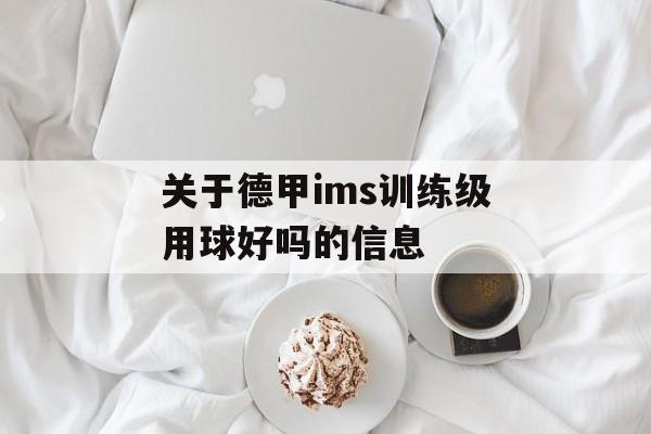 关于德甲ims训练级用球好吗的信息