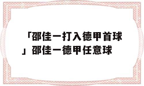 「邵佳一打入德甲首球」邵佳一德甲任意球