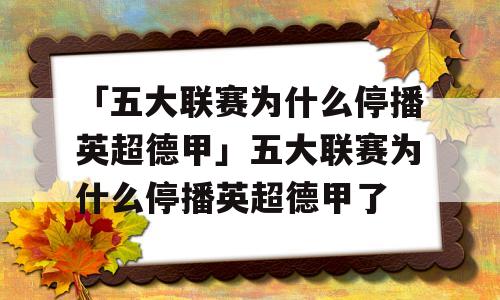 「五大联赛为什么停播英超德甲」五大联赛为什么停播英超德甲了