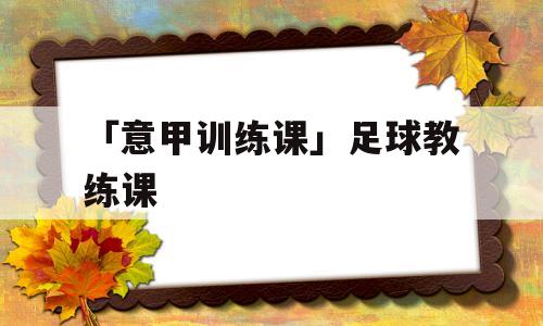 「意甲训练课」足球教练课