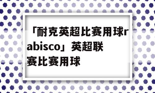 「耐克英超比赛用球rabisco」英超联赛比赛用球