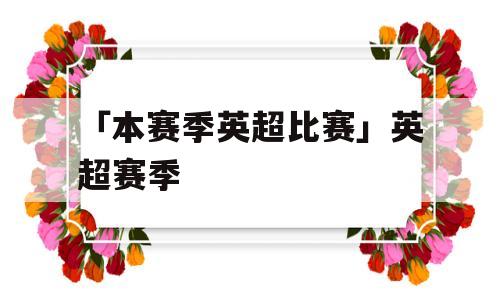 「本赛季英超比赛」英超赛季